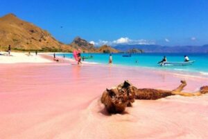 Labuan Bajo, Pink Beach